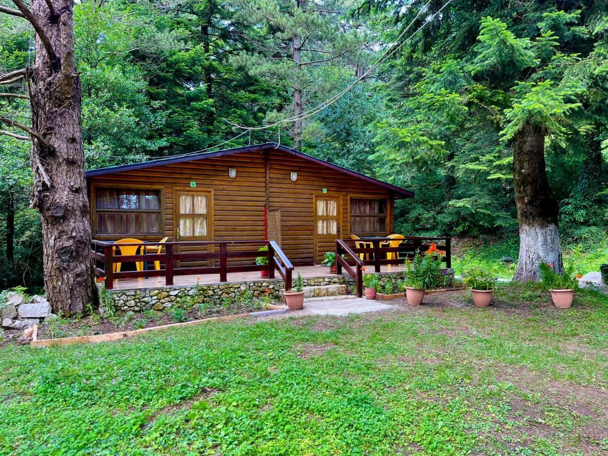 Uji I Panjes Llogara Villa Vlorë Buitenkant foto
